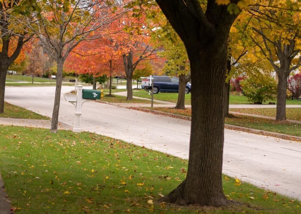 #41. Vernon Hills